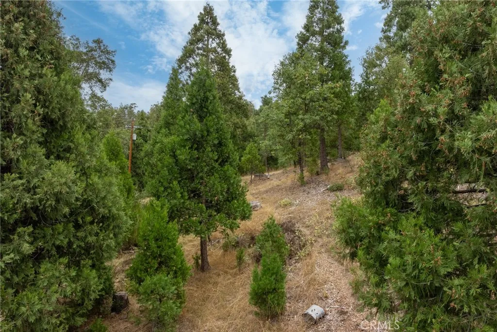 Additional image 70 of 26 Timberview, North Fork, CA 93643