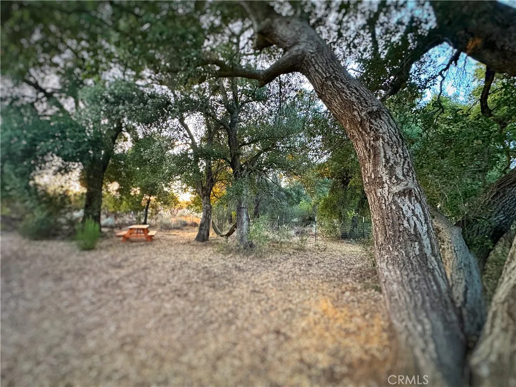 Additional image 38 of 30415 Chihuahua Valley Road, Warner Springs, CA 92086