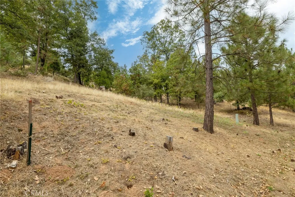 Additional image 17 of 26 Timberview, North Fork, CA 93643