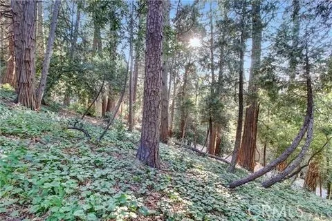 Additional image 14 of 2662 Scenic, Crestline, CA 92325