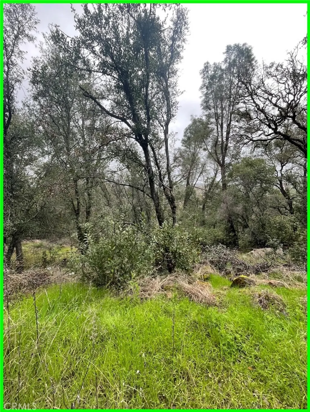 Additional image 9 of 15572 Sharpe Drive, Clearlake, CA 95422