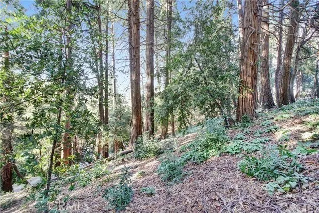 Additional image 12 of 2661 Scenic, Crestline, CA 92325