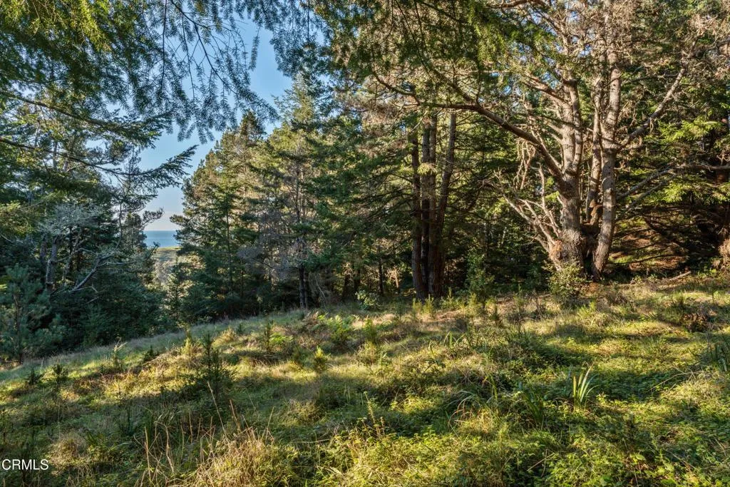 Additional image 17 of 4150 California 1, Albion, CA 95410