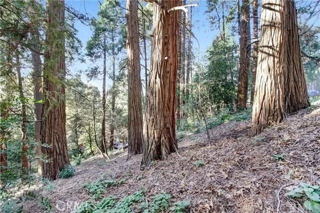 Additional image 11 of 2661 Scenic, Crestline, CA 92325