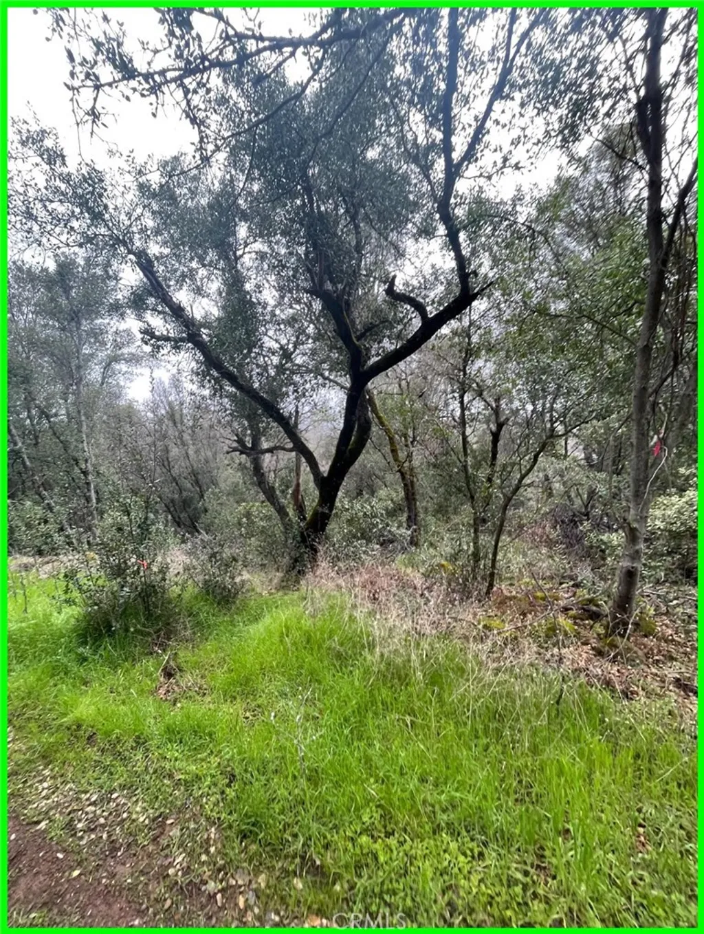 Additional image 10 of 15572 Sharpe Drive, Clearlake, CA 95422