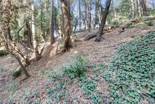 Additional image 11 of 2662 Scenic, Crestline, CA 92325