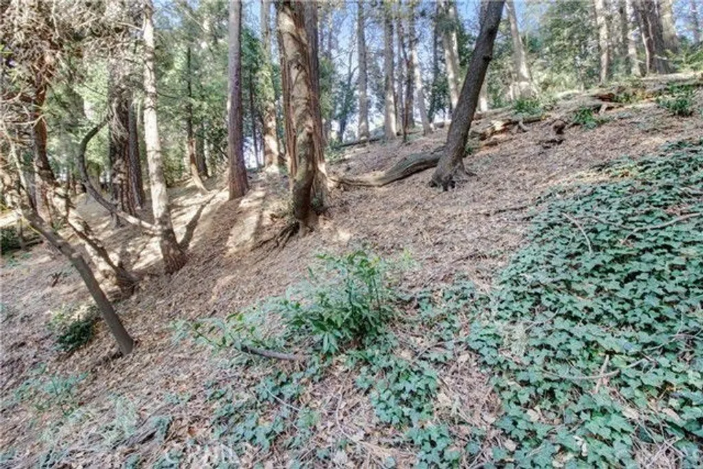Additional image 4 of 2662 Scenic, Crestline, CA 92325
