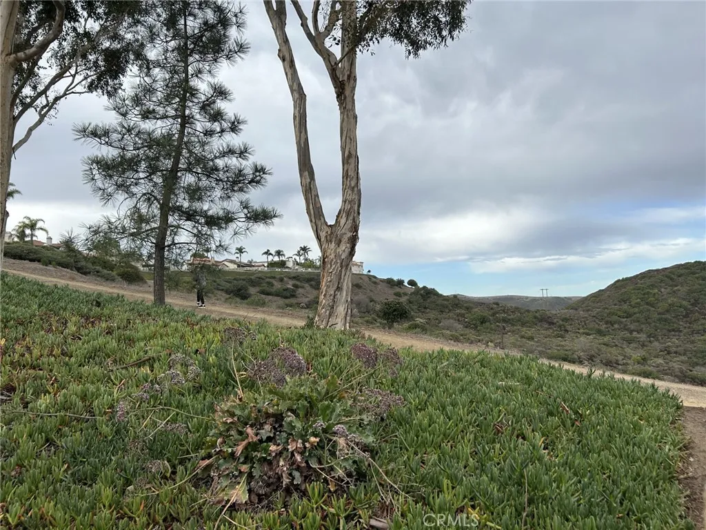 Additional image 63 of 23106 Port Antonio Way, Laguna Niguel, CA 92677