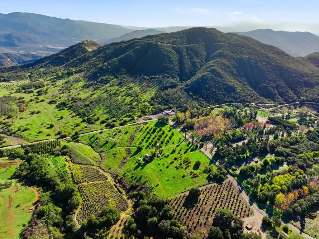 Additional image 29 of 9550 Rainbrook Drive, Fallbrook, CA 92028