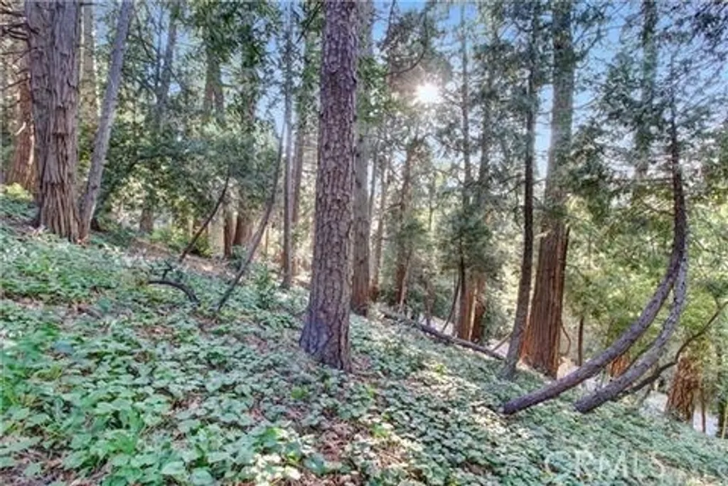 Additional image 7 of 2662 Scenic, Crestline, CA 92325