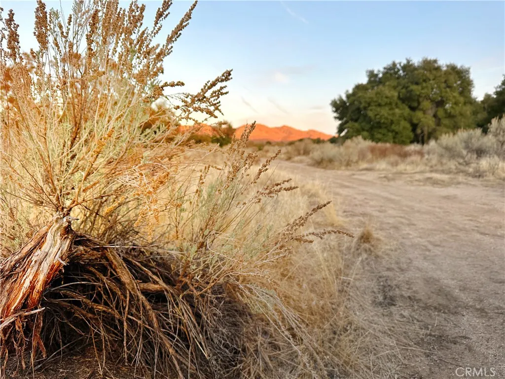 Additional image 45 of 30415 Chihuahua Valley Road, Warner Springs, CA 92086
