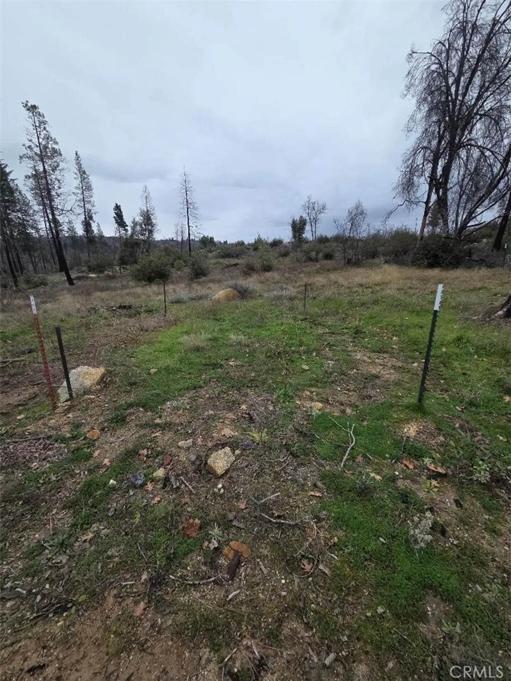Additional image 11 of 259 Rockerfeller Road, Berry Creek, CA 95916