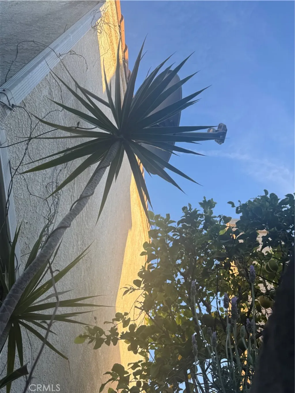 Additional image 31 of 7435 Bellingham, North Hollywood, CA 91605