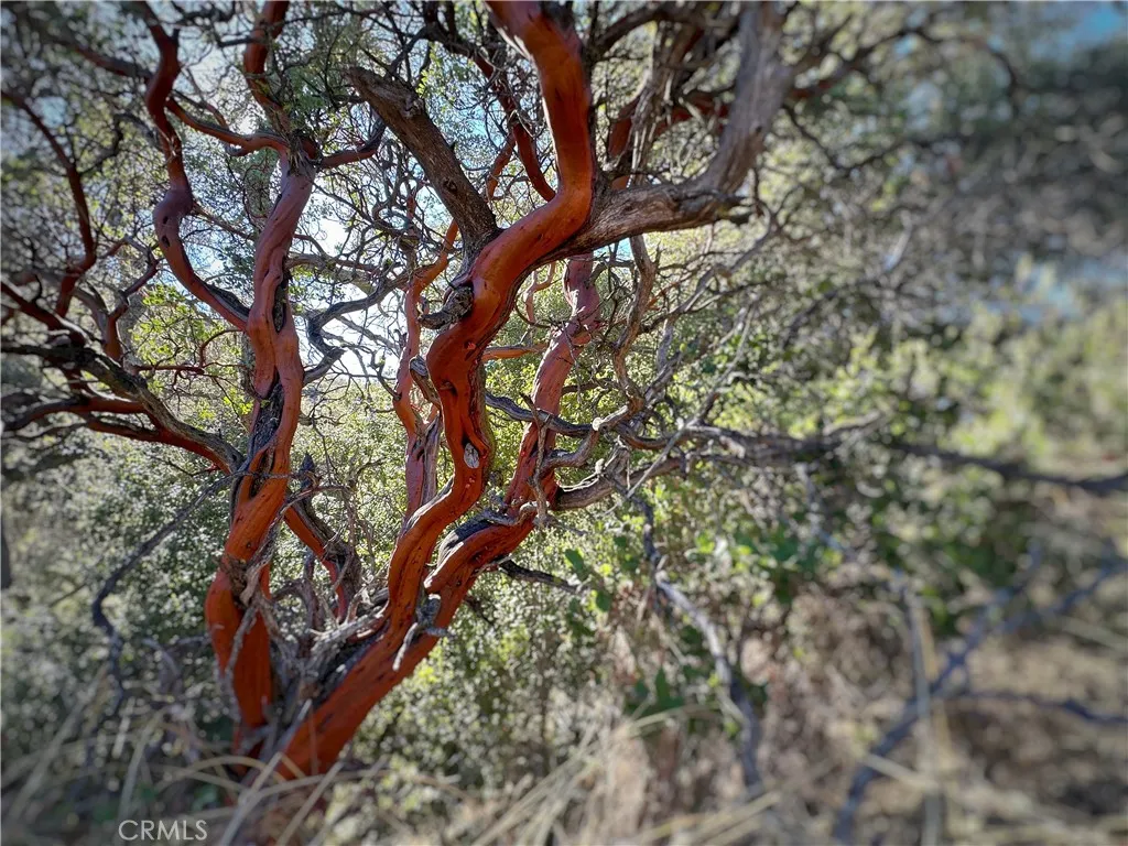 Additional image 55 of 28618 Chihuahua Valley Road, Warner Springs, CA 92086