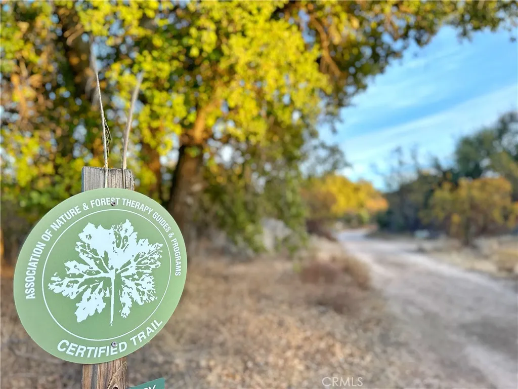 Additional image 140 of 30415 Chihuahua Valley Road, Warner Springs, CA 92086