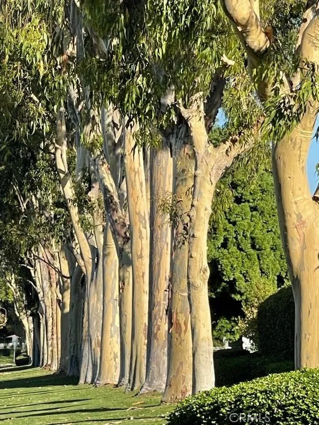 Additional image 60 of 3 Rushingwind Unit 4, Irvine, CA 92614