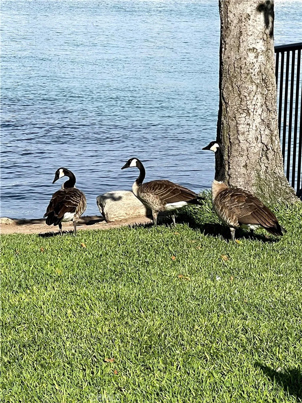 Additional image 25 of 3 Rushingwind Unit 4, Irvine, CA 92614