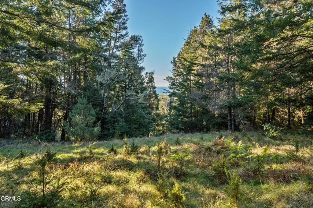 Additional image 16 of 4150 California 1, Albion, CA 95410