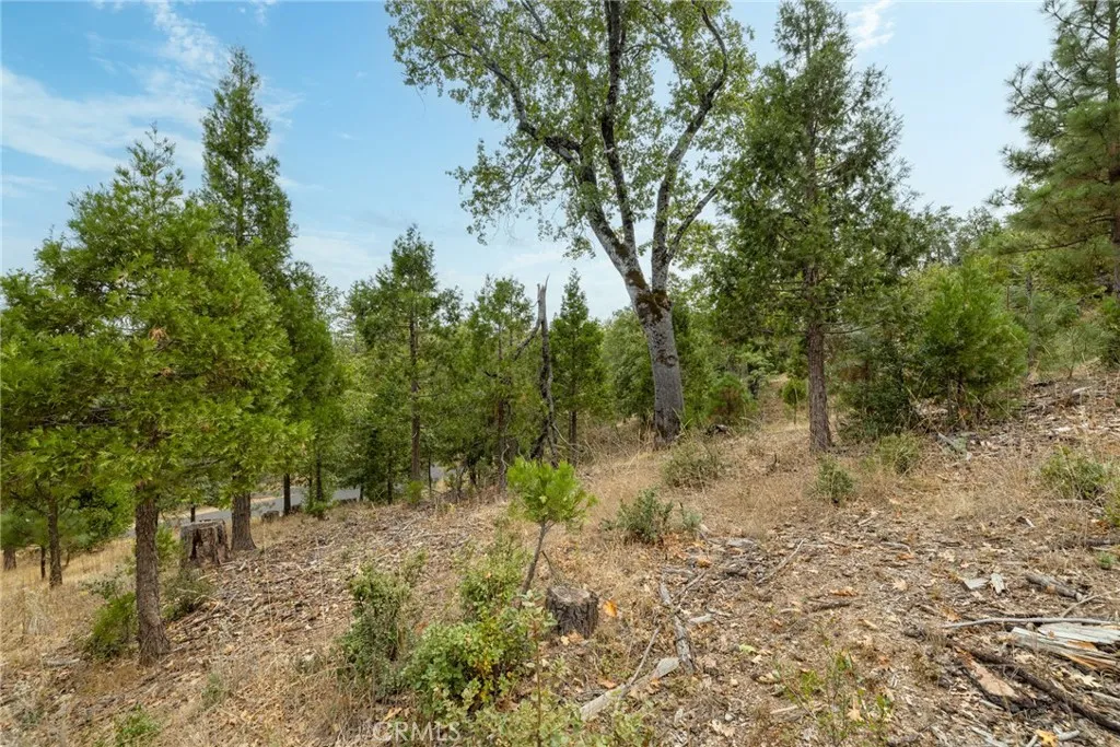 Additional image 20 of 26 Timberview, North Fork, CA 93643