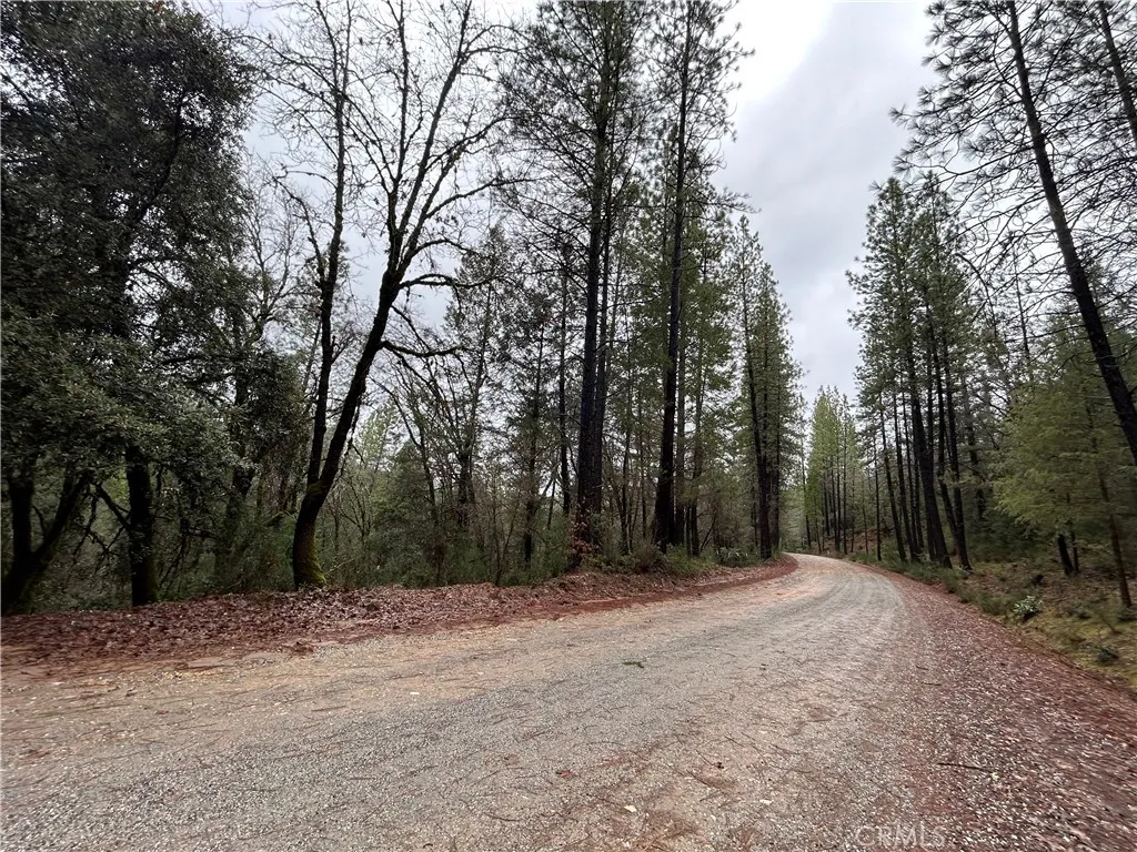 Additional image 9 of 14550 Grizzly Hill Rd, Nevada City, CA 95959