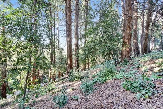Additional image 12 of 2662 Scenic, Crestline, CA 92325