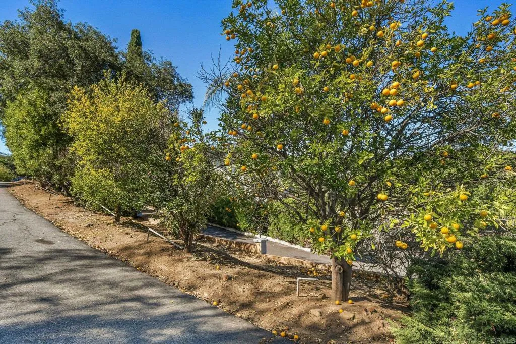 Additional image 70 of 1051 Via Rancho Parkway, Escondido, CA 92029