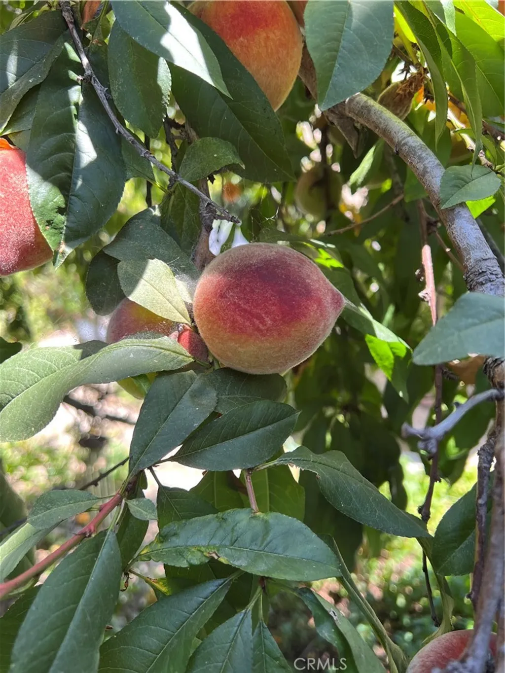 Additional image 24 of 18 Paseo Canos, San Clemente, CA 92673