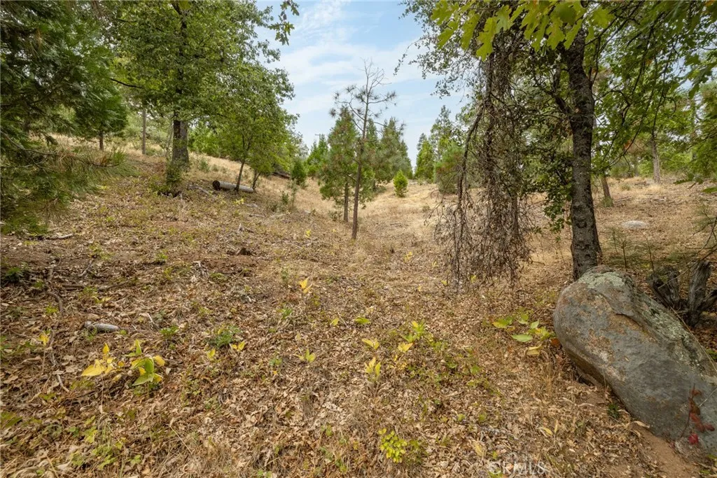 Additional image 14 of 26 Timberview, North Fork, CA 93643