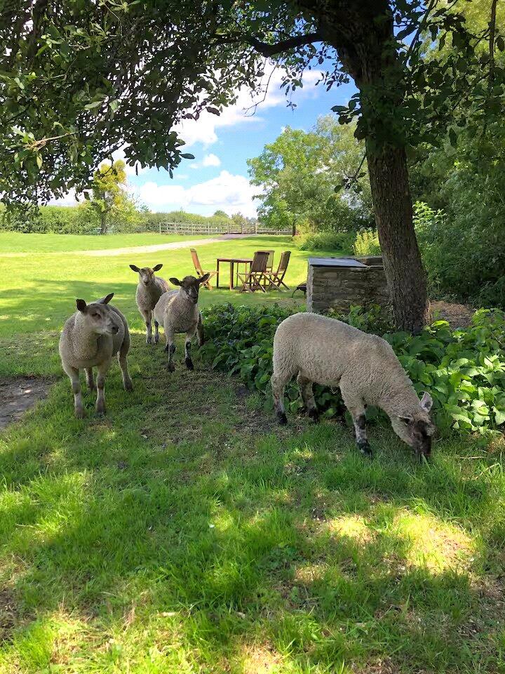 Additional image 20 of Woodlands, Glastonbury, Somerset, BA6