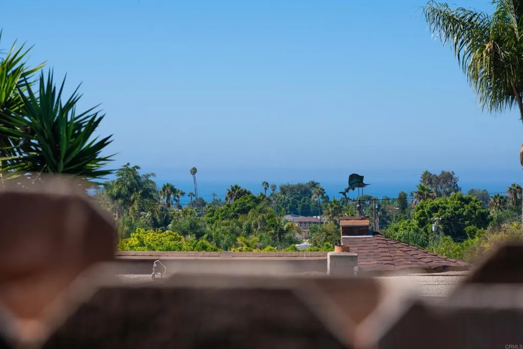 Additional image 50 of 714 Passiflora Avenue, Encinitas, CA 92024