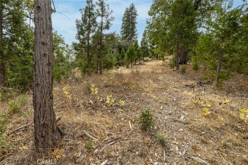 Additional image 32 of 26 Timberview, North Fork, CA 93643