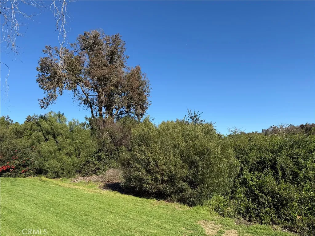 Additional image 35 of 31386 West Nine Dr, Laguna Niguel, CA 92677