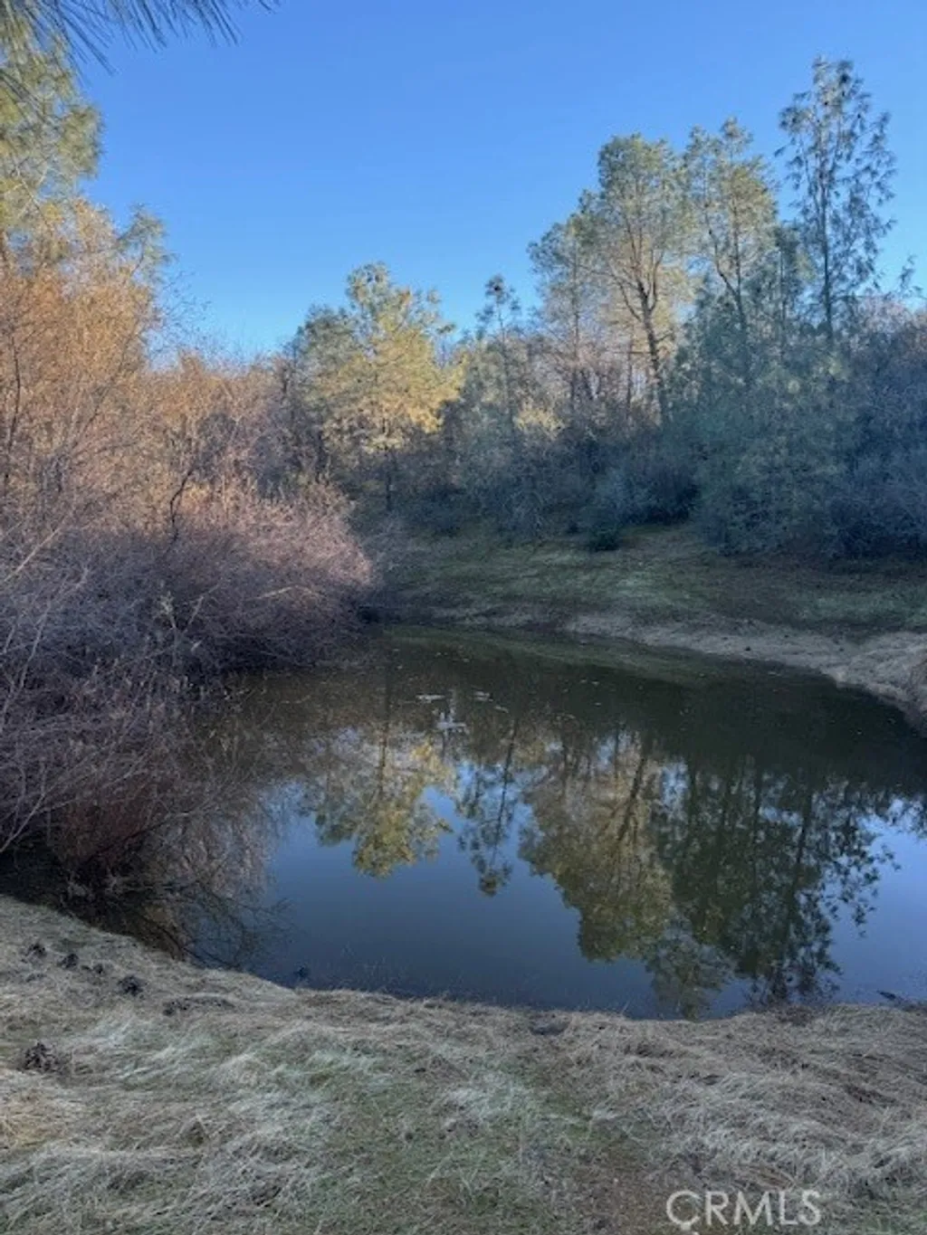 Additional image 11 of 10662 Penon Blanco Lookout Road, Coulterville, CA 95311