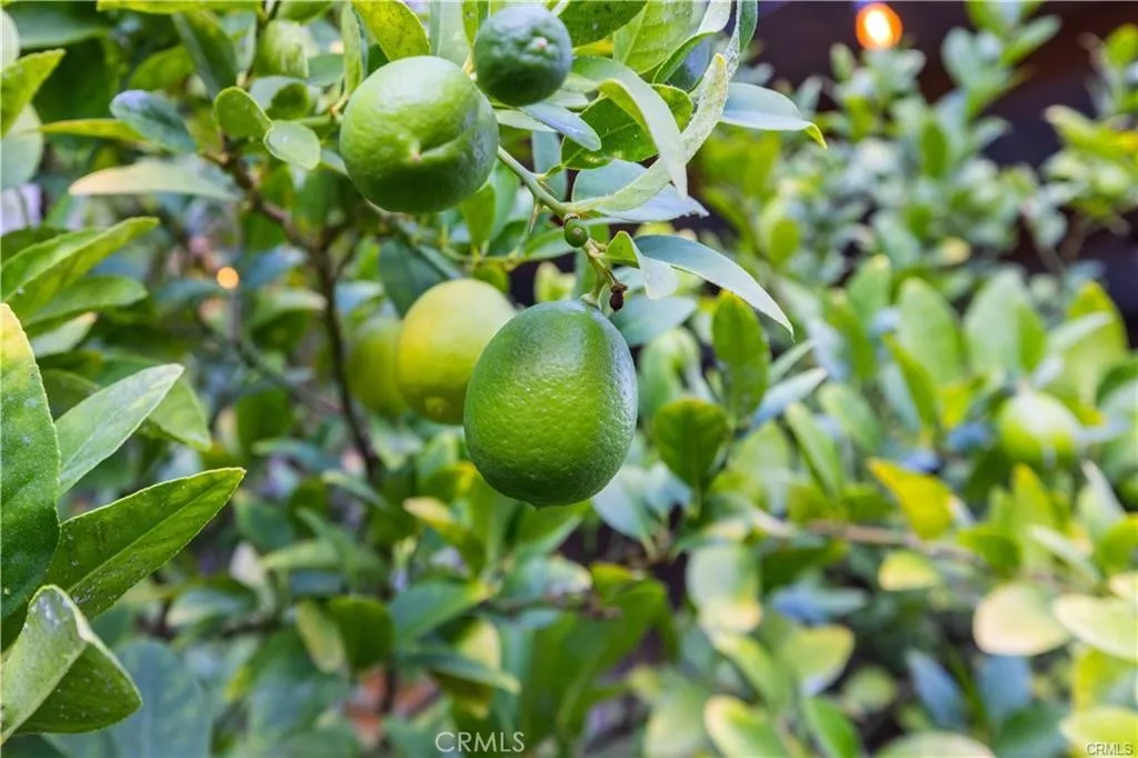 Additional image 29 of 28537 Vista Del Rio, Valencia, CA 91354