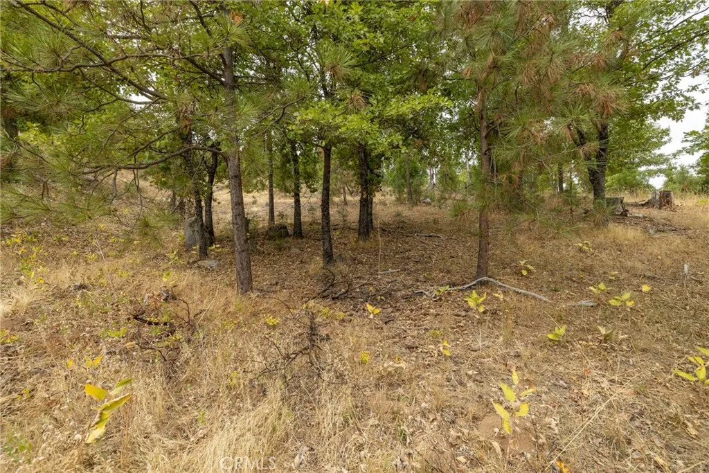 Additional image 43 of 26 Timberview, North Fork, CA 93643