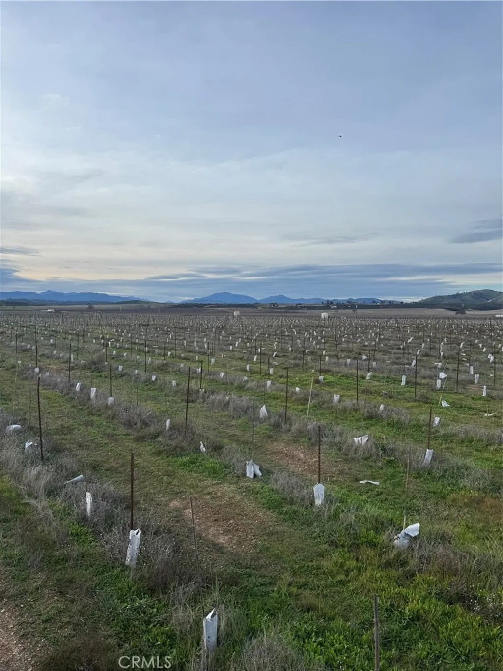 Additional image 4 of 48655 Lockwood Jolon Road, Lockwood, CA 93932