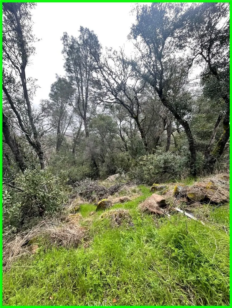 Additional image 17 of 15572 Sharpe Drive, Clearlake, CA 95422