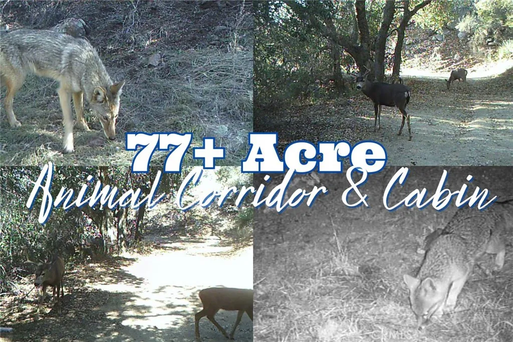 Additional image 2 of 28618 Chihuahua Valley Road, Warner Springs, CA 92086