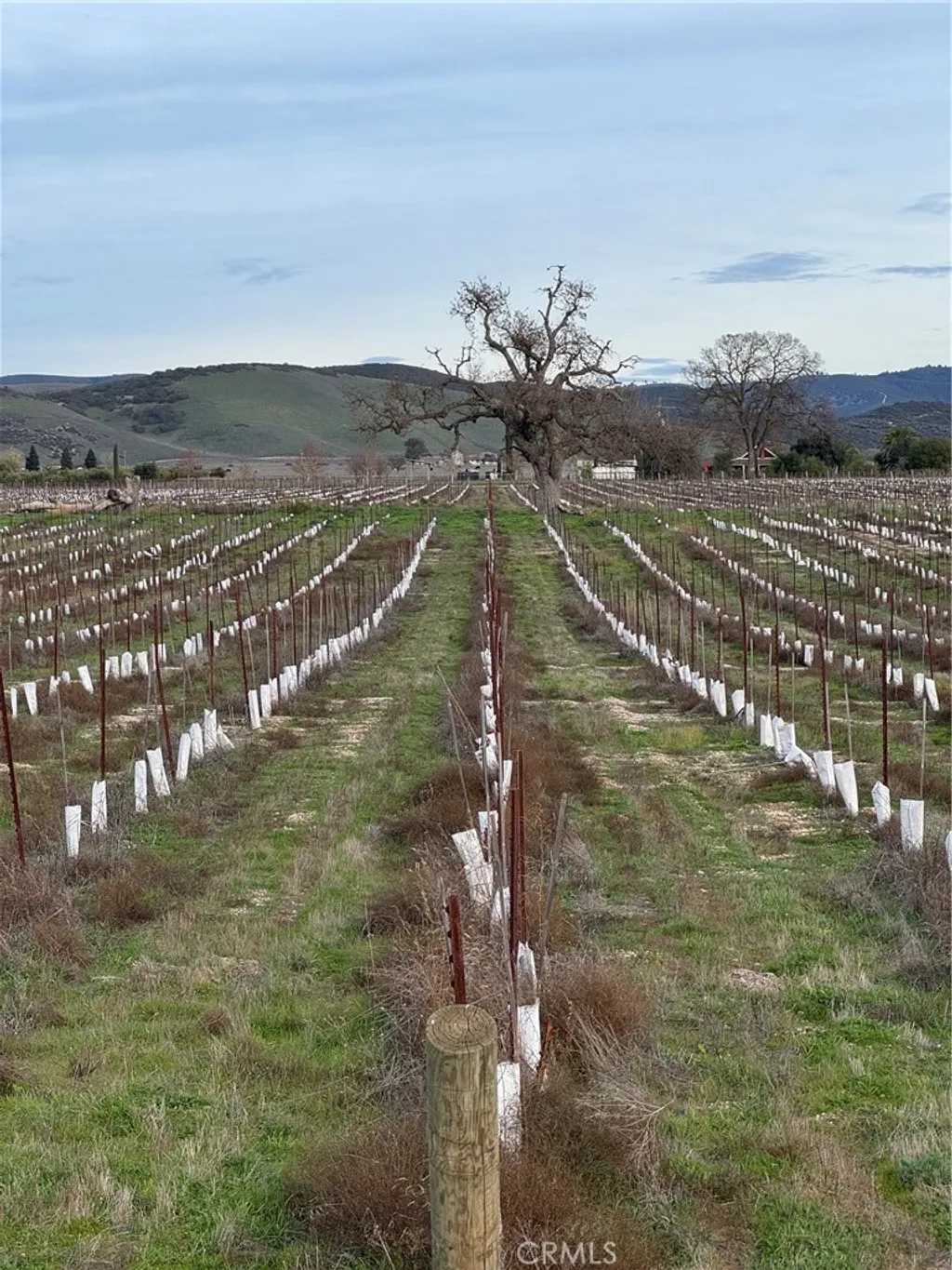 Additional image 17 of 48655 Lockwood Jolon Road, Lockwood, CA 93932