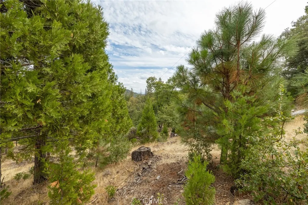 Additional image 24 of 26 Timberview, North Fork, CA 93643