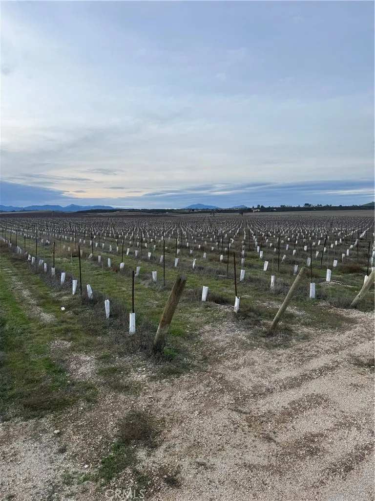 Additional image 47 of 48655 Lockwood Jolon Road, Lockwood, CA 93932