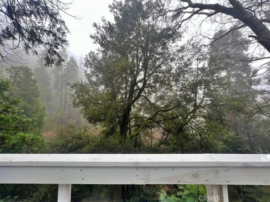 Additional image 54 of 1198 Arbula Dr, Crestline, CA 92325