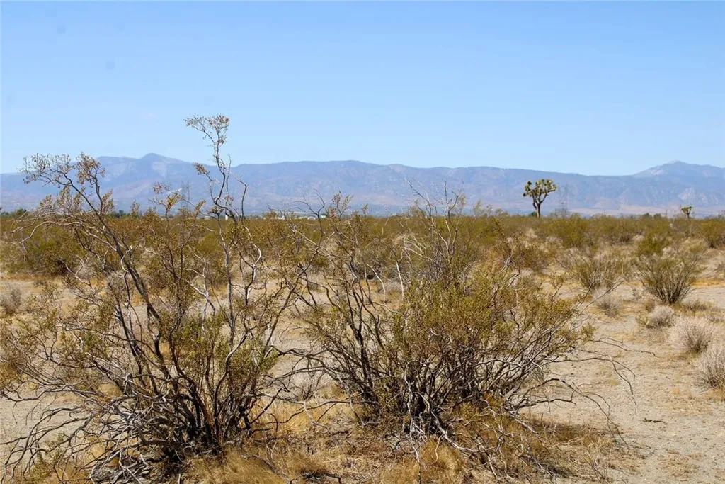 Additional image 19 of 14999 Mojave Drive, Phelan, CA 92371