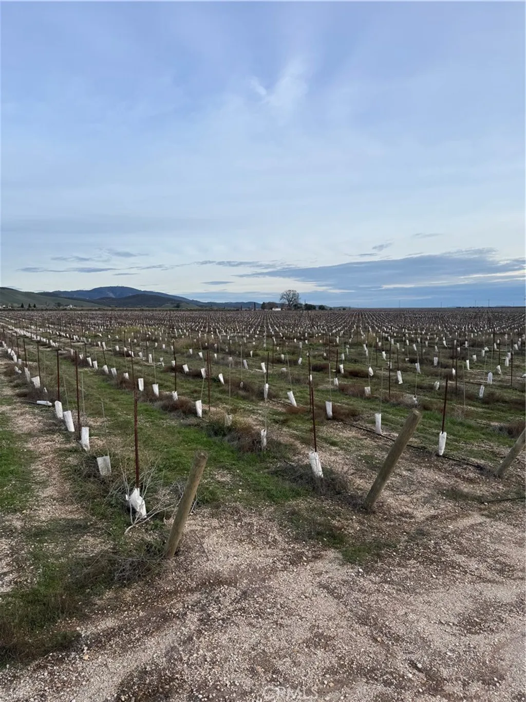 Additional image 19 of 48655 Lockwood Jolon Road, Lockwood, CA 93932