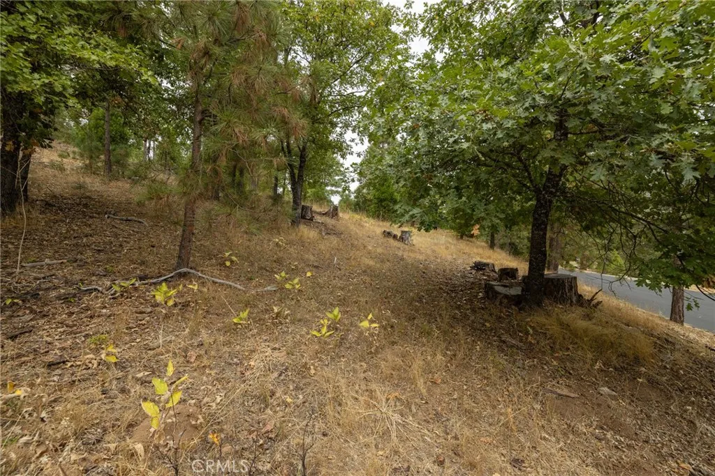 Additional image 49 of 26 Timberview, North Fork, CA 93643