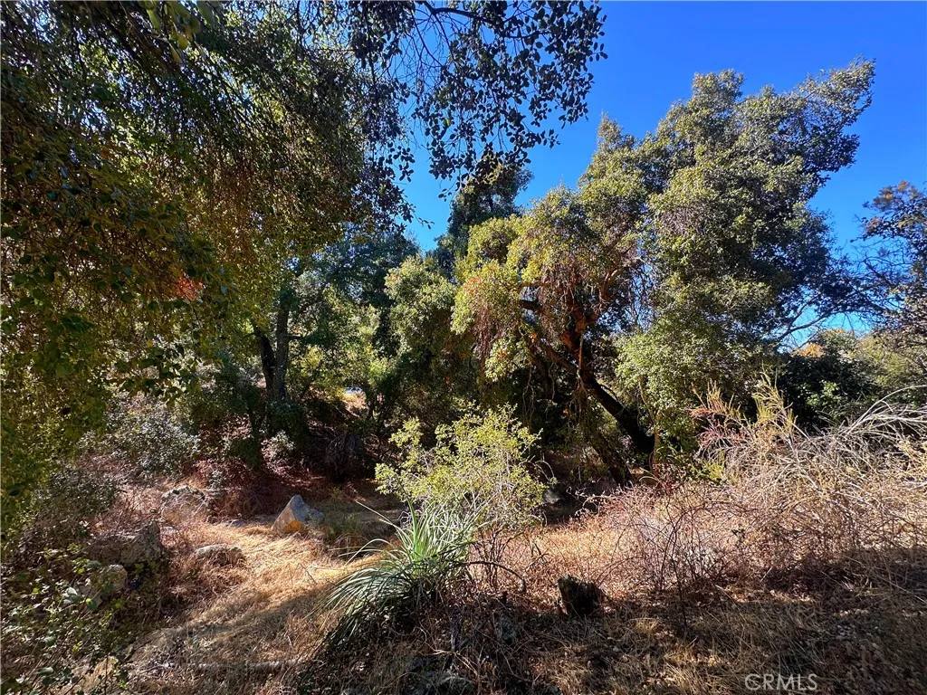 Additional image 49 of 28618 Chihuahua Valley Road, Warner Springs, CA 92086