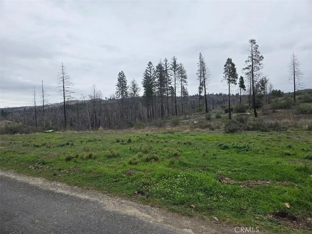 Additional image 2 of 259 Rockerfeller Road, Berry Creek, CA 95916