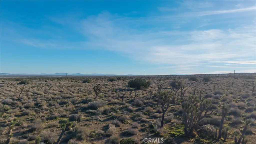 Additional image 7 of 223 Avenue X, Llano, CA 93544