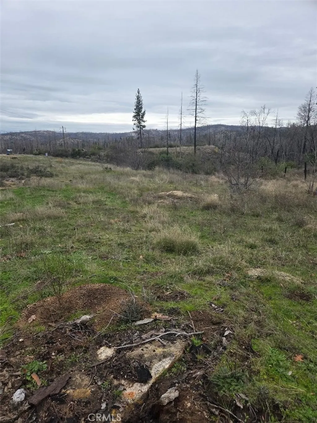 Additional image 12 of 259 Rockerfeller Road, Berry Creek, CA 95916