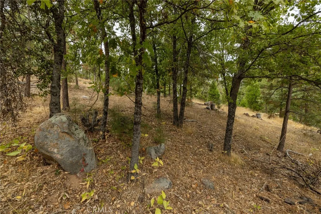 Additional image 13 of 26 Timberview, North Fork, CA 93643